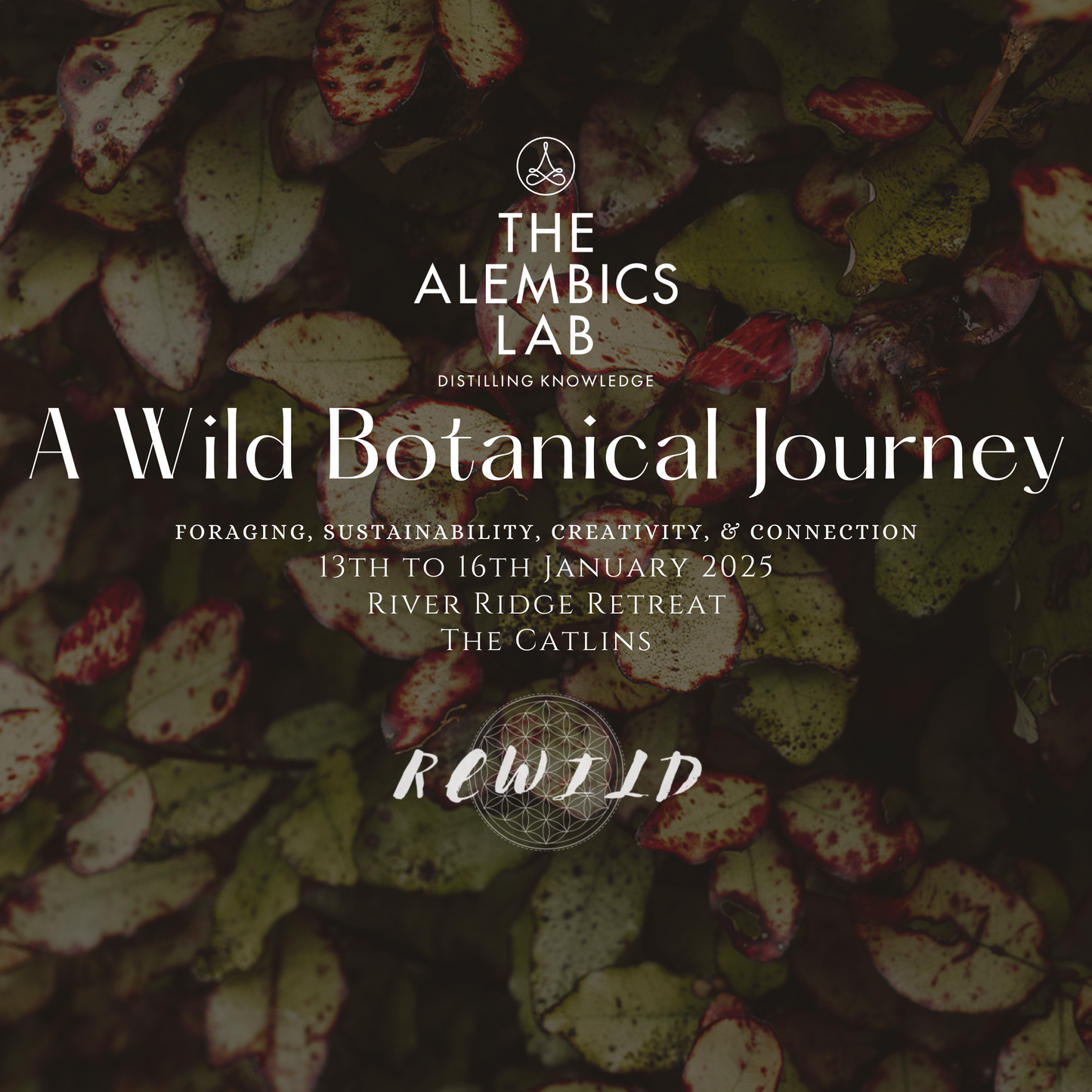 A Wild Botanical Journey - A Masterclass Workshop of Foraging, Sustainability, Creativity, & Connection
