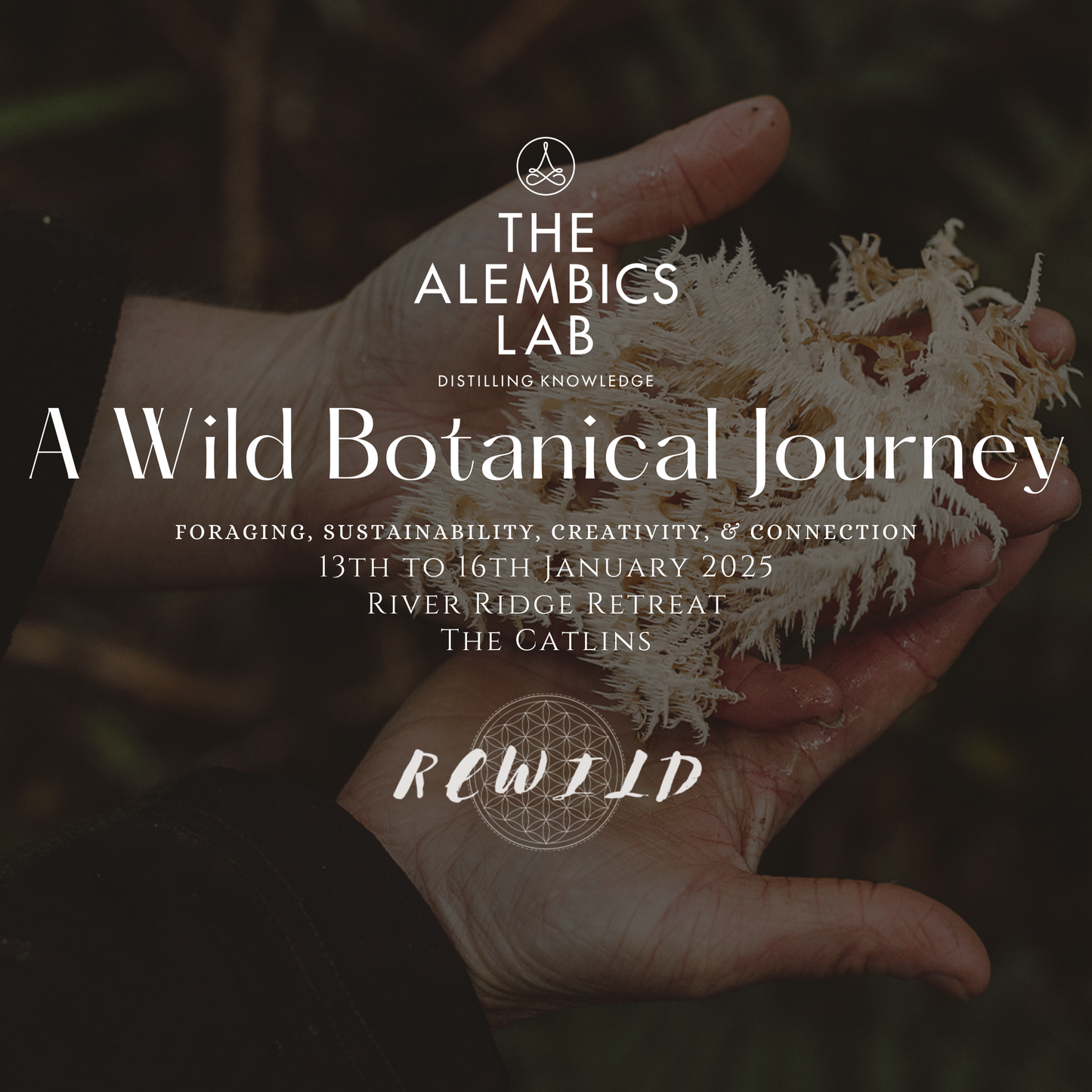A Wild Botanical Journey - A Masterclass Workshop of Foraging, Sustainability, Creativity, & Connection