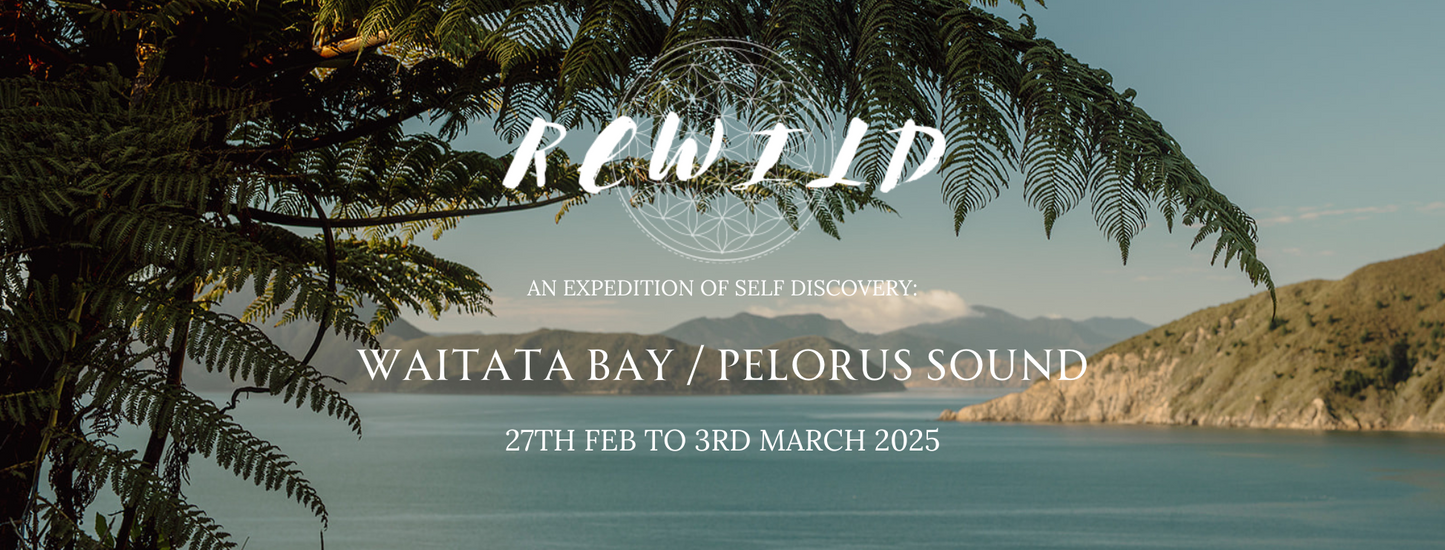 Rewild Retreat: An Expedition of Self Discovery - Waitata Bay / Pelorus Sound 27th Feb to 3rd March 2025